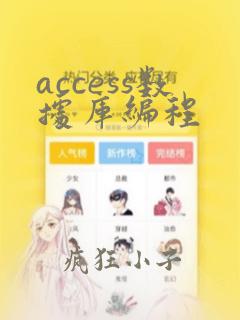 access数据库编程