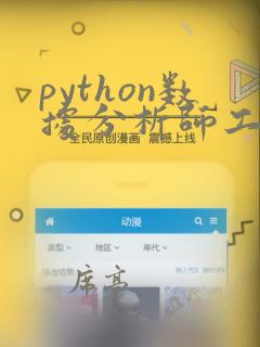 python数据分析师工资