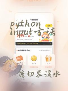 python input方法