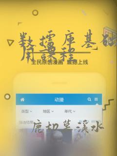 数据库基础与应用课程