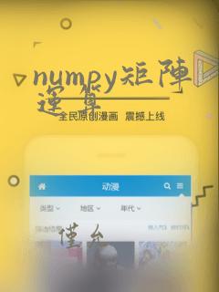 numpy矩阵运算