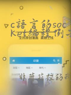 c语言的socket编程例子