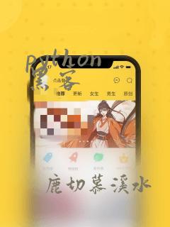python 黑客