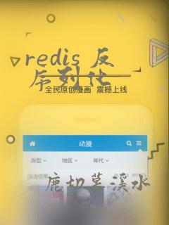 redis 反序列化