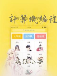 计算机编程代码