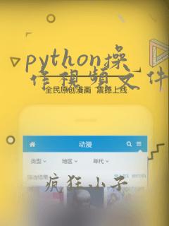 python操作视频文件