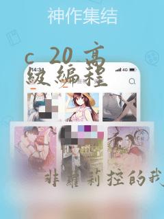 c  20 高级编程