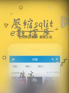 压缩sqlite数据库