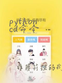 python cd命令