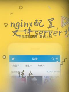 nginx配置文件server块详解
