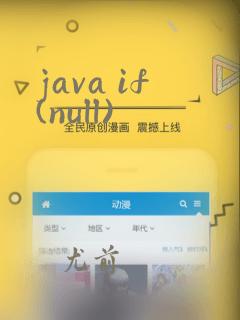 java if(null)
