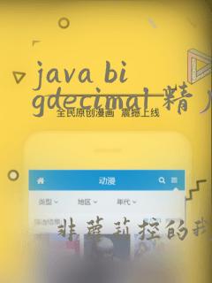 java bigdecimal 精度