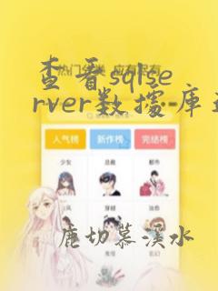 查看sqlserver数据库连接数
