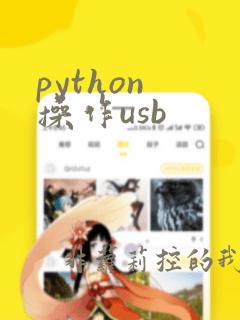 python 操作usb