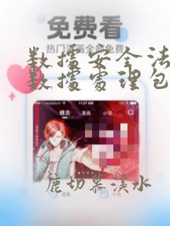 数据安全法规定数据处理包括