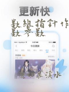 数组指针作为函数参数