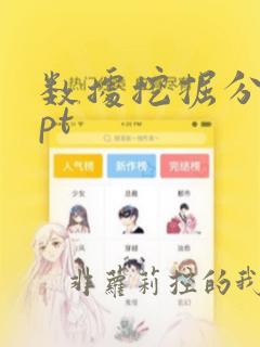 数据挖掘分析ppt