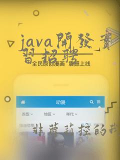 java开发实习招聘