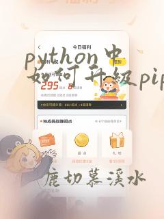 python中如何升级pip
