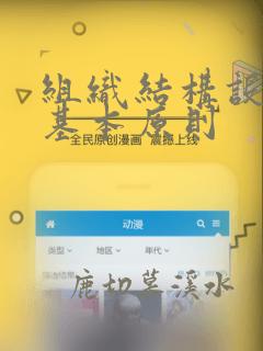 组织结构设计的基本原则
