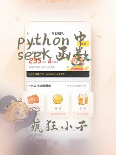 python中seek函数