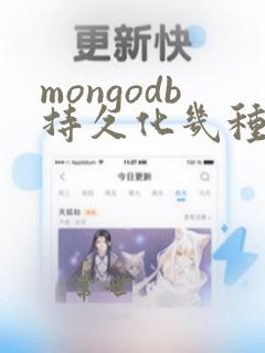 mongodb持久化几种方式