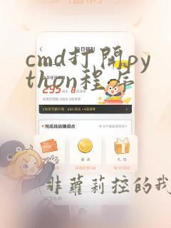 cmd打开python程序