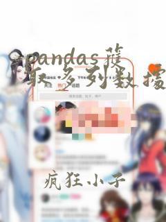 pandas获取多列数据