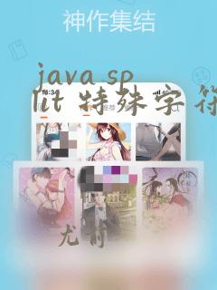 java split 特殊字符