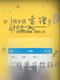 java处理sql注入