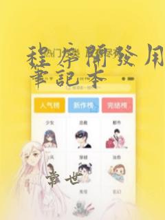 程序开发用什么笔记本
