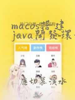 macos搭建java开发环境