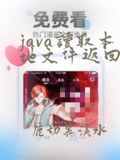 java读取本地文件返回流