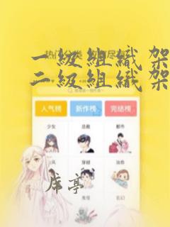 一级组织架构与二级组织架构的区别