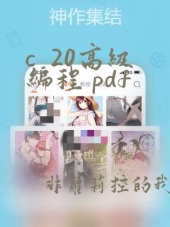 c  20高级编程 pdf