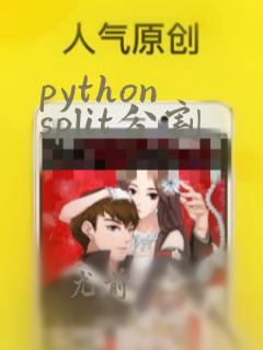 python split分割