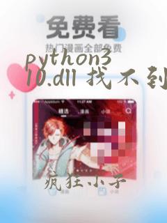 python310.dll 找不到指定的模块