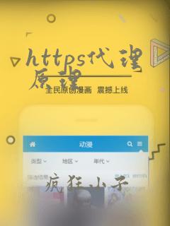 https代理原理