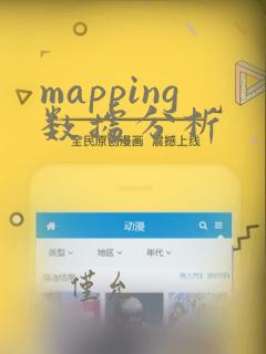 mapping数据分析