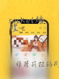 socket编程 c