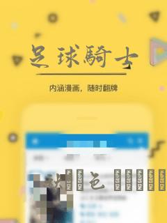 足球骑士：结局+番外