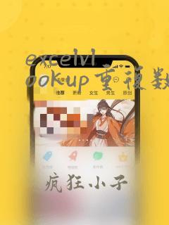 excelvlookup重复数据汇总