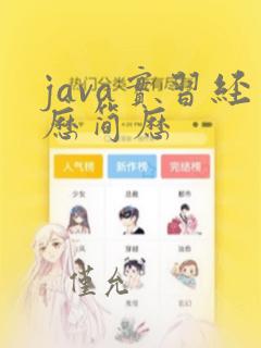 java实习经历简历