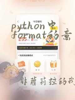 python中format的意思