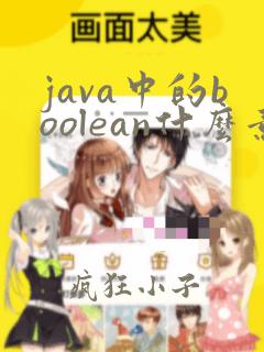 java中的boolean什么意思