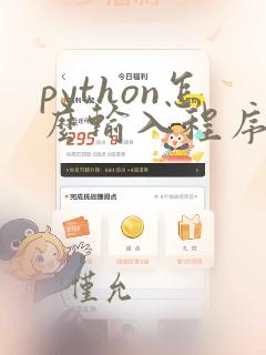 python怎么输入程序代码