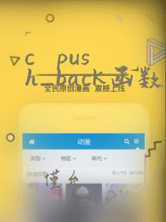 c   push_back函数