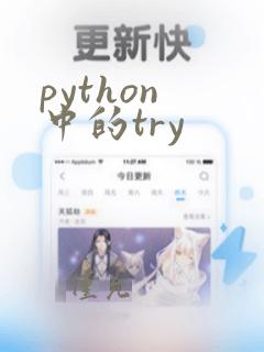 python 中的try