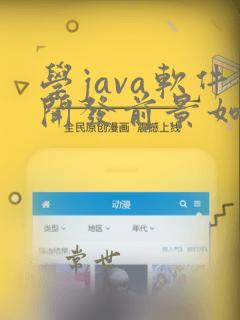 学java软件开发前景如何