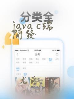 java c端开发